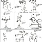 ejercicios-para-aumentar-masa-muscular
