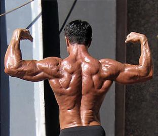 espalda masa muscular