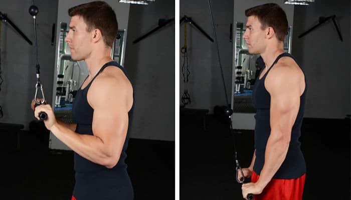 Haz que tus tríceps estén a la altura de tus bíceps