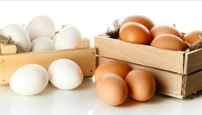Proteína del huevo