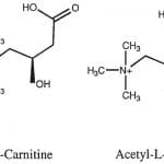 acetil l-carnitina