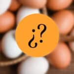 ¿Cuántos Huevos Puedo Comer Al Día Si Hago Ejercicio?