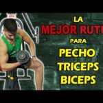 Pecho y bíceps vs. tríceps: ¿Cuál es la mejor combinación?