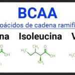 Proteína vs. BCAA: ¿Cuál es la mejor opción para ti?
