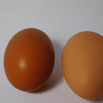 ¿Qué Es Mejor Un Huevo Crudo O Cocido?